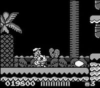 Adventure Island sur Nintendo Game Boy
